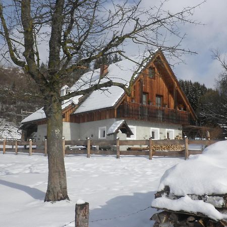 Ferienhaus "Zur Alten Schmiede" Mariahof ภายนอก รูปภาพ