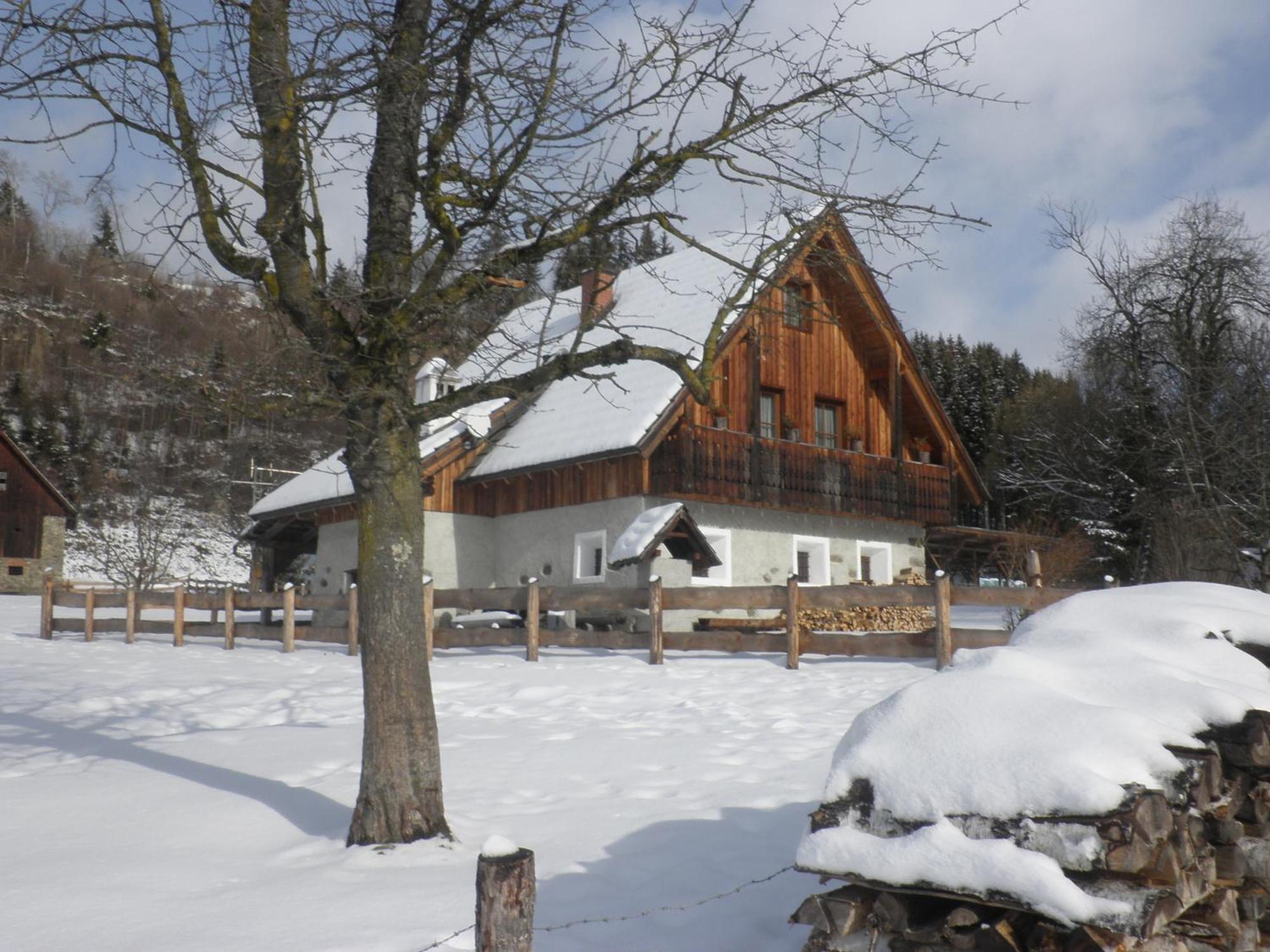 Ferienhaus "Zur Alten Schmiede" Mariahof ภายนอก รูปภาพ